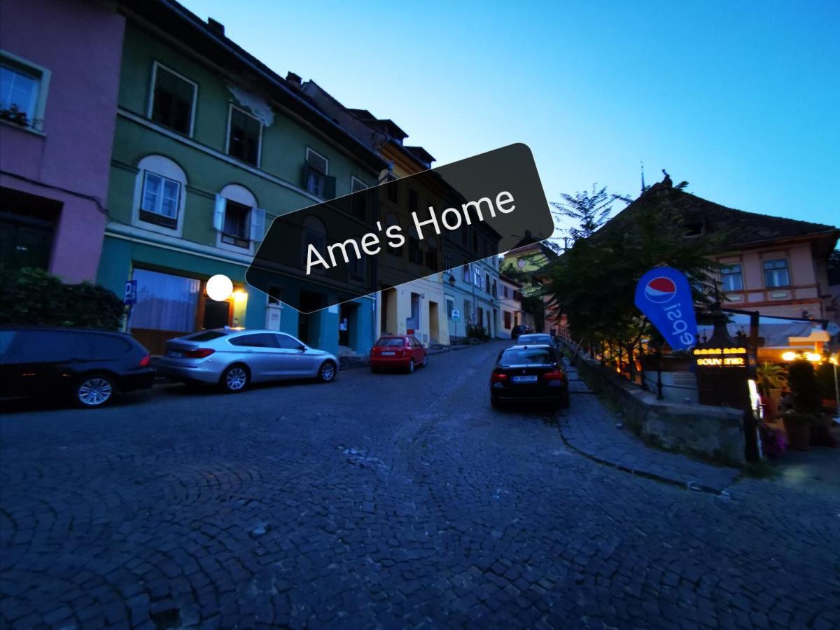 Ame'S Home Sighisoara Bagian luar foto